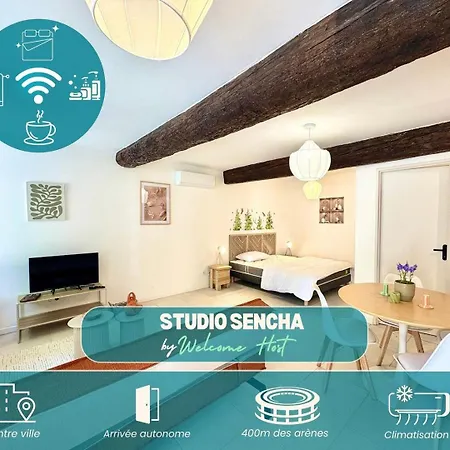 Sencha - Pour 4 En Centre Apartment Nimes