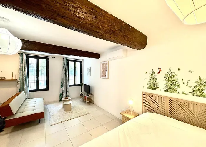 Appartement Sencha, Lit 160, Clim, Plein Coeur De Nîmes